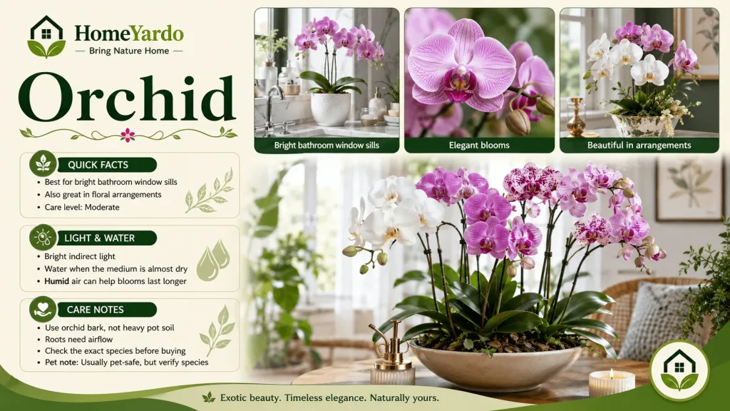 8. Orchid
