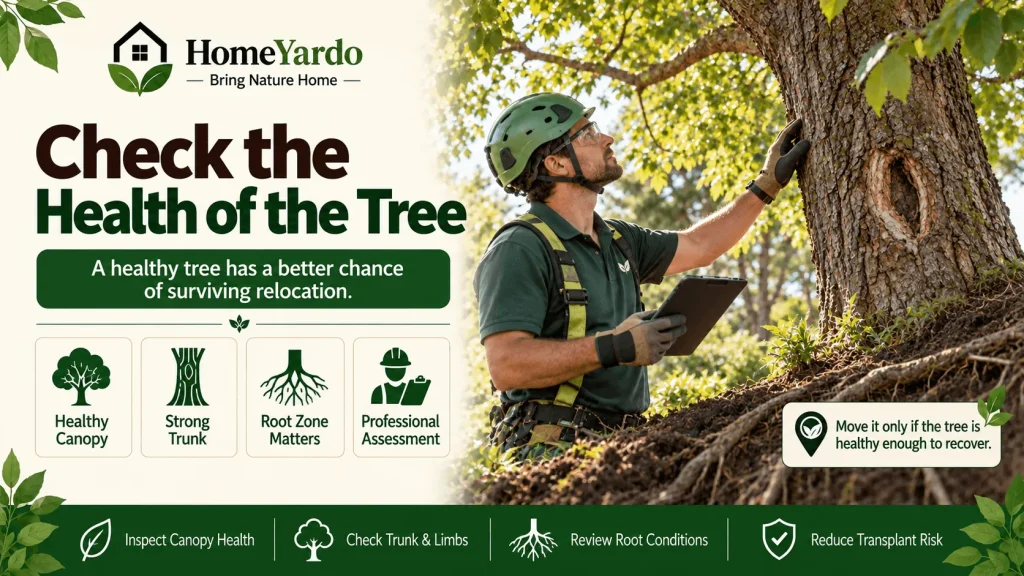 Check the Health of the Tree