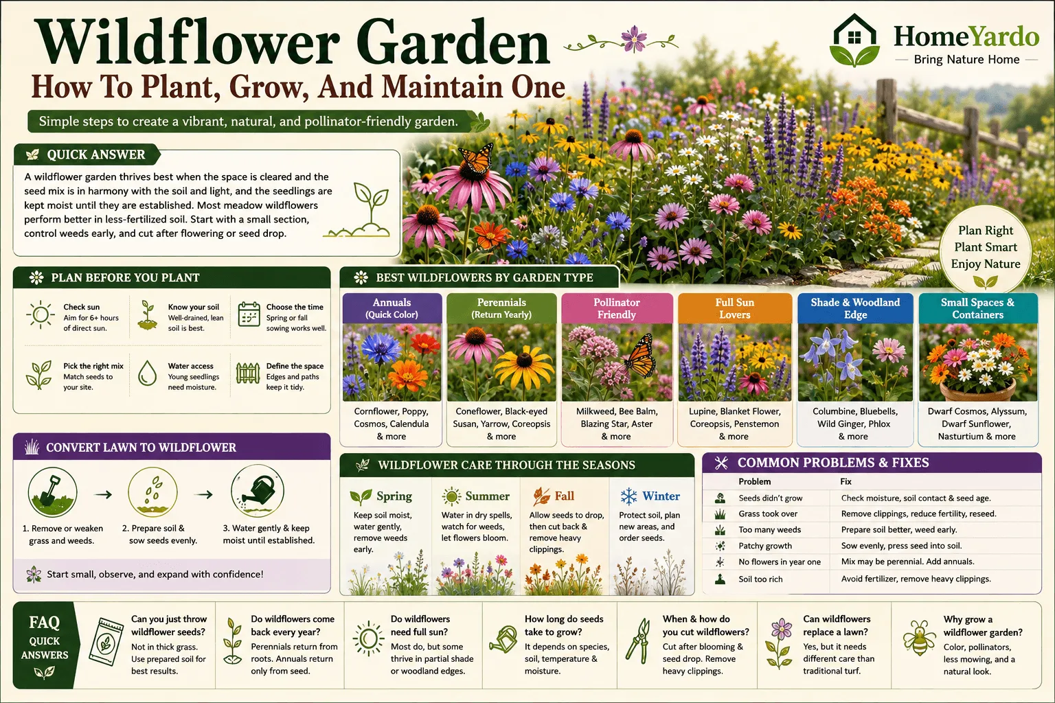 Wild flower Garden Planting And Care Guide