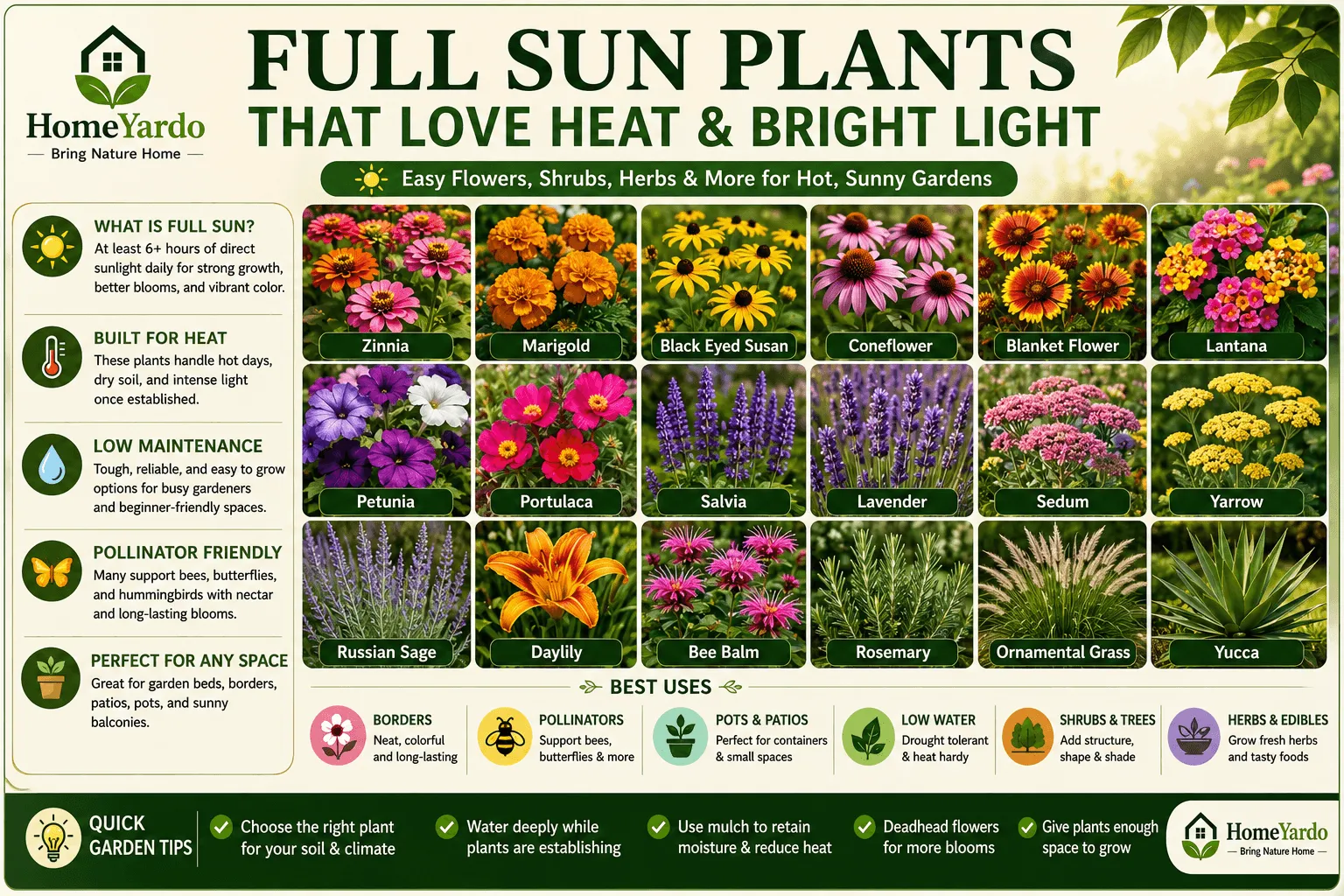full sun plants
