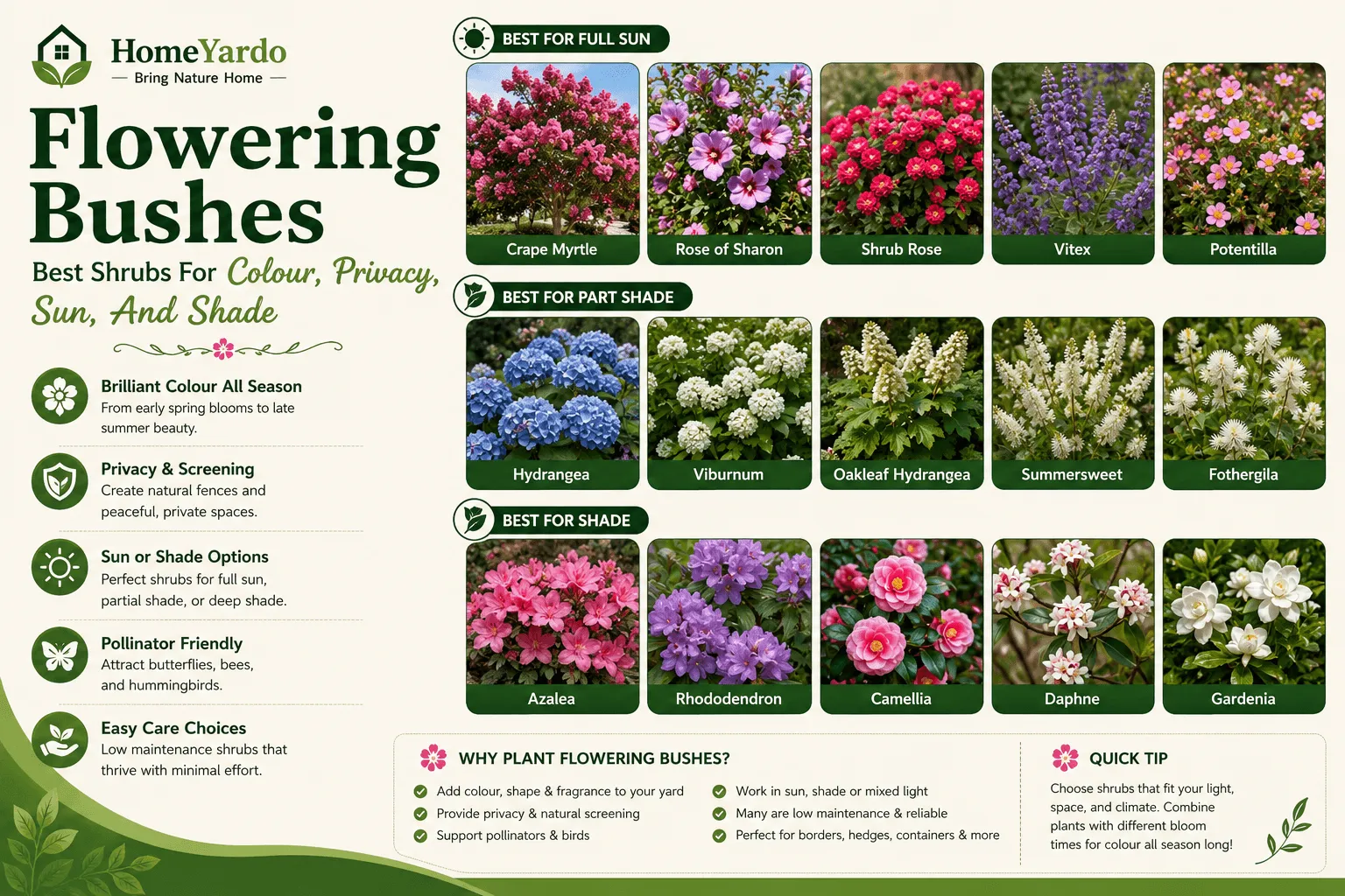 Flowering Bushes: Best Shrubs For Colour, Privacy, Sun, And Shade