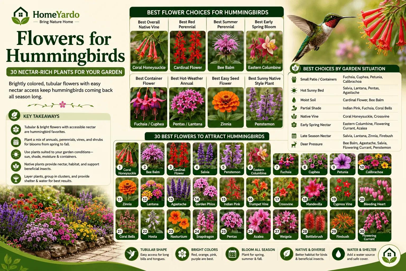 Flowers for Hummingbirds: 30 Nectar-Rich Plants