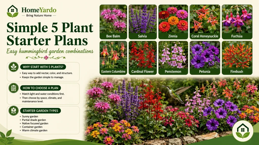 Simple 5 Plant Starter Plans