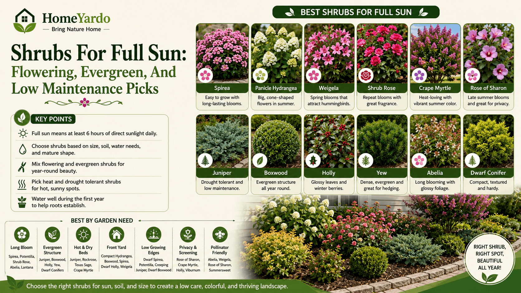 Shrubs for full sun: Flowring, evergreen, and low manintenance picks