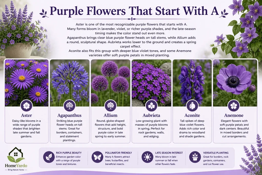 Purple Flowers That Start With A