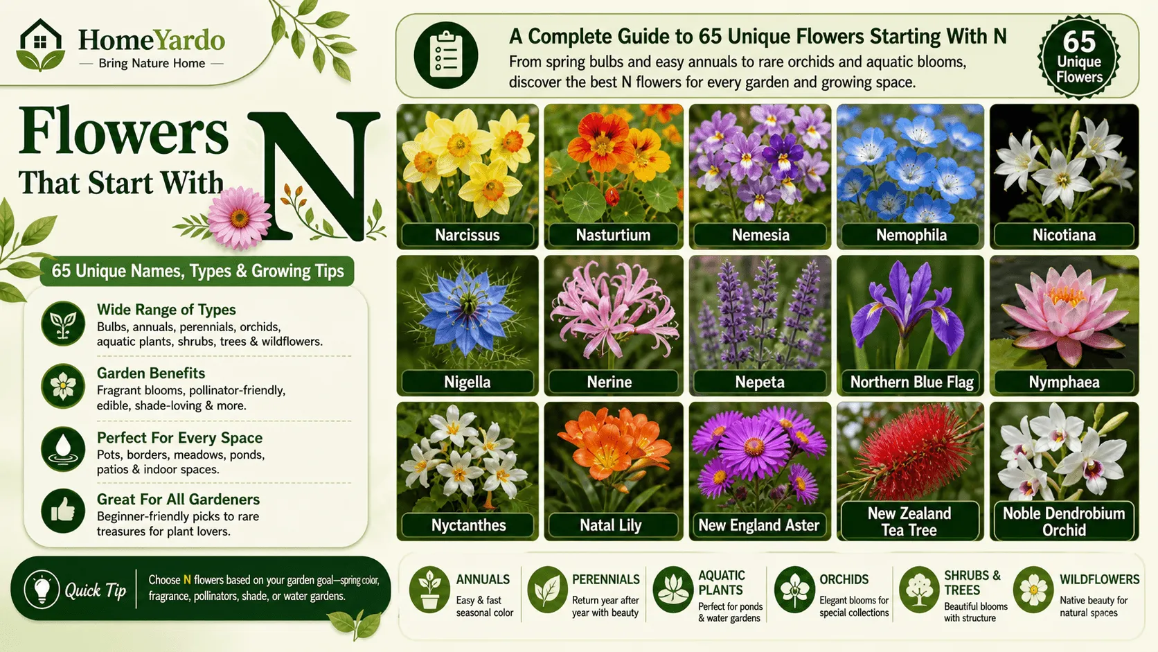 Flowers That Start With N