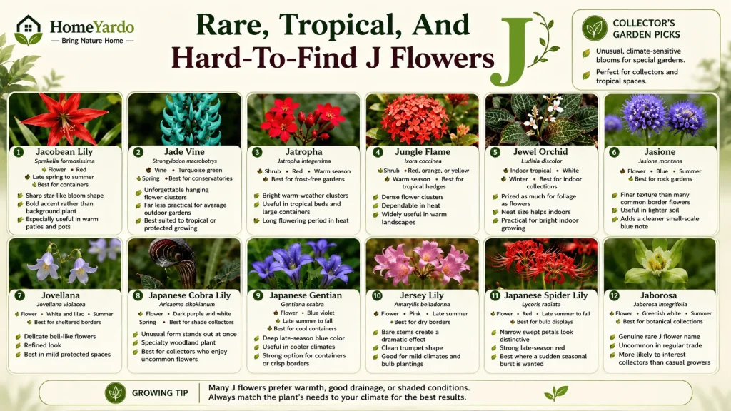 Rare , tropica and hard to find J flowers