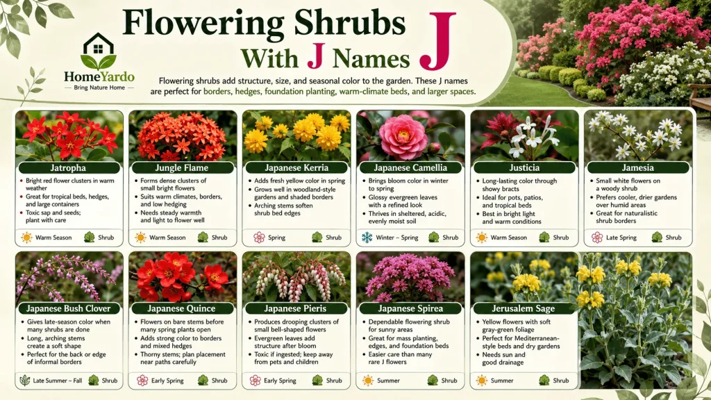 flowering shrubs with J
