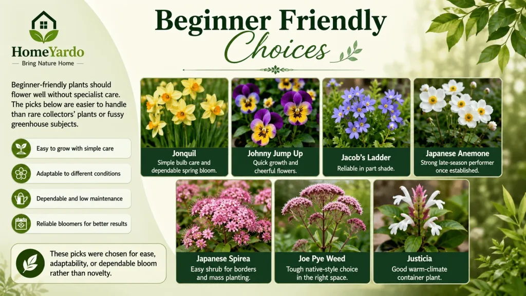Beginner Frienldy CHoices