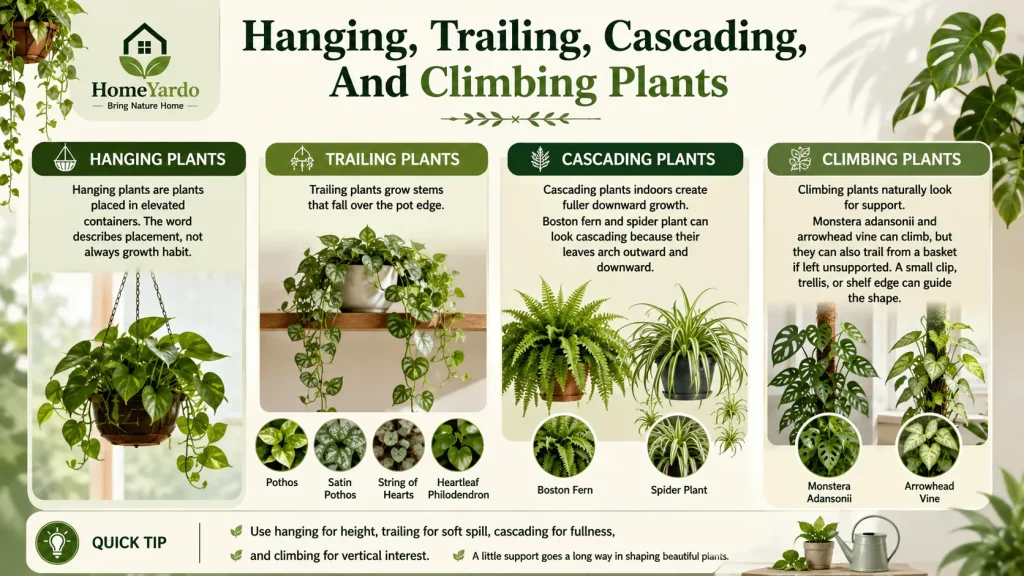 Hnaging, Trailing, Cascading, and climbing plants