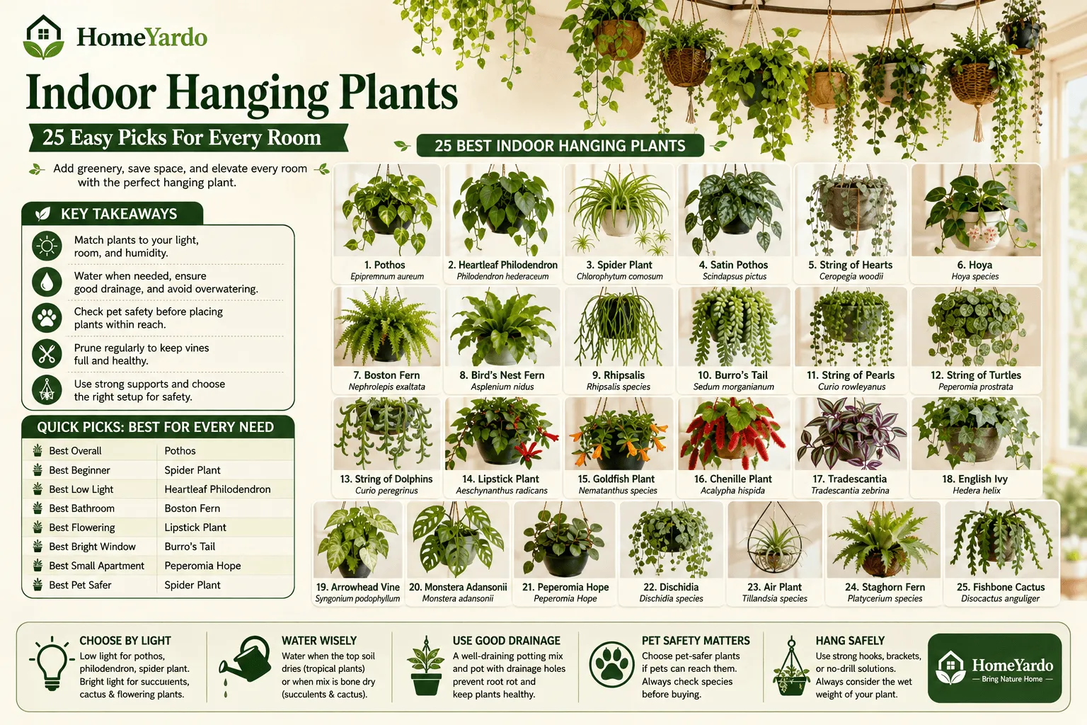 Indoor hanging plants