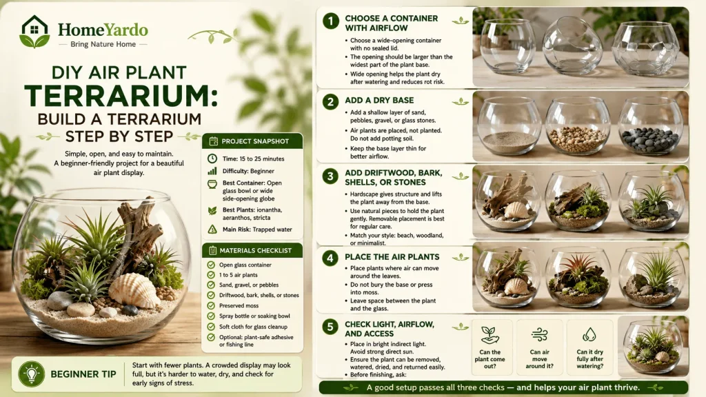 Diy Air plant