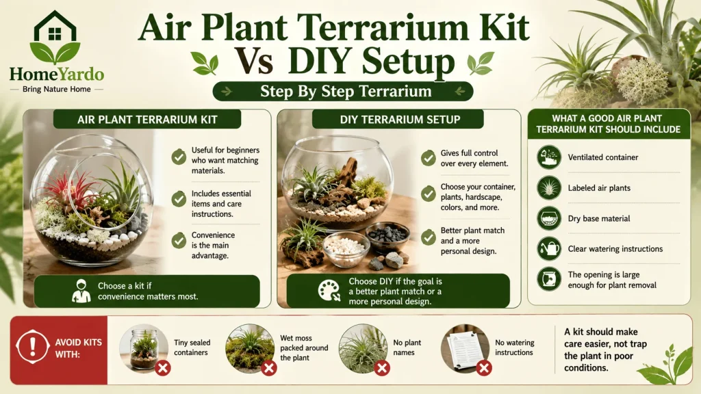 Air plant Terrarium kit vs Diy setup