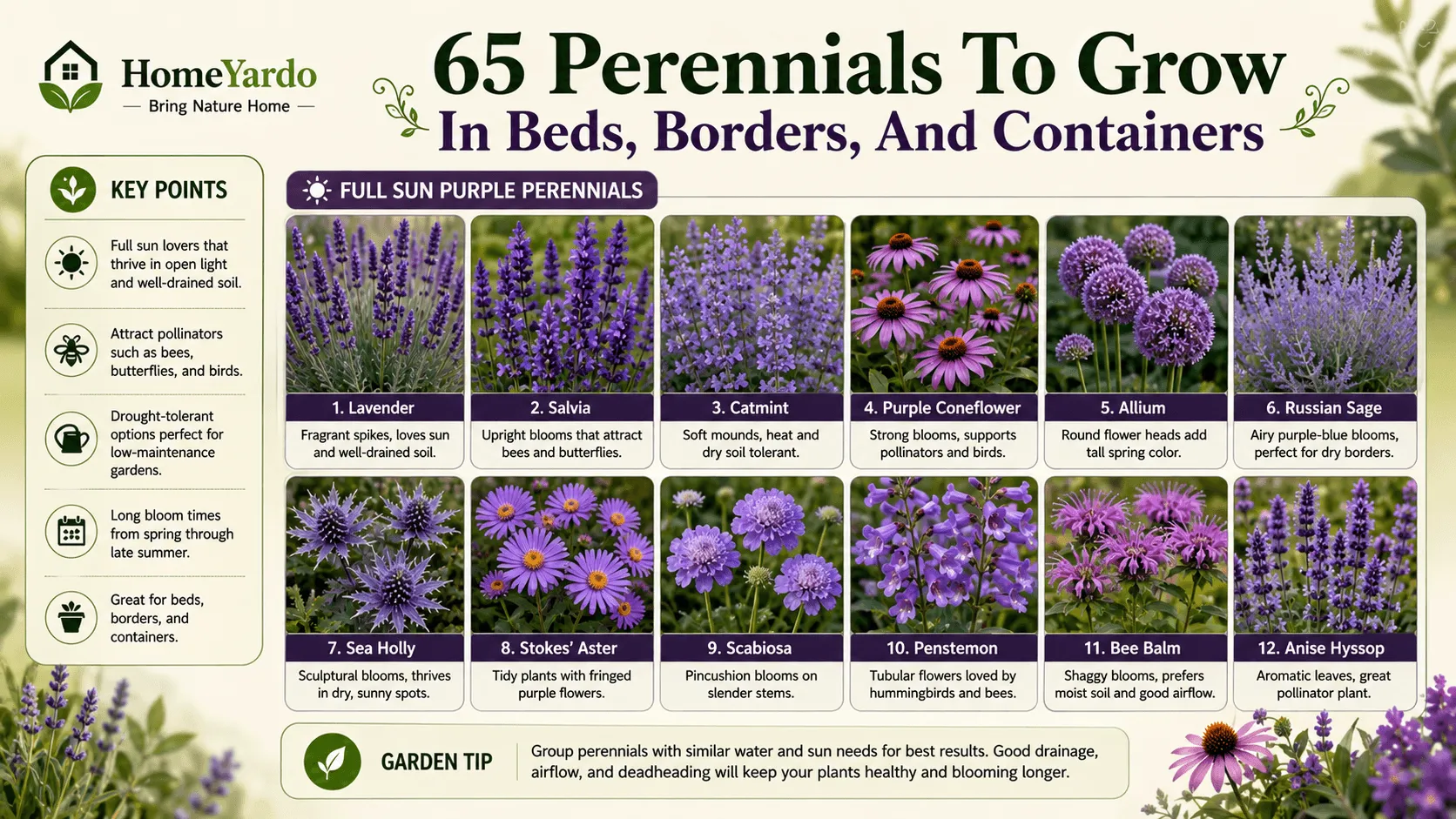 Purple Perennials: 65 Flowers for Every Garden