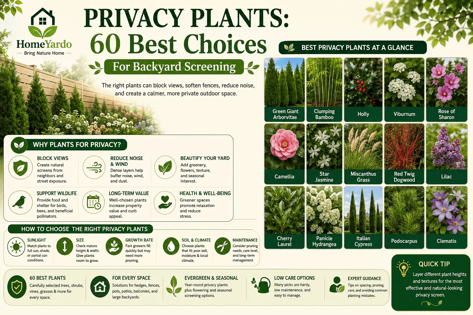 Privacy Plants: 60 Best Screens For Your Yard