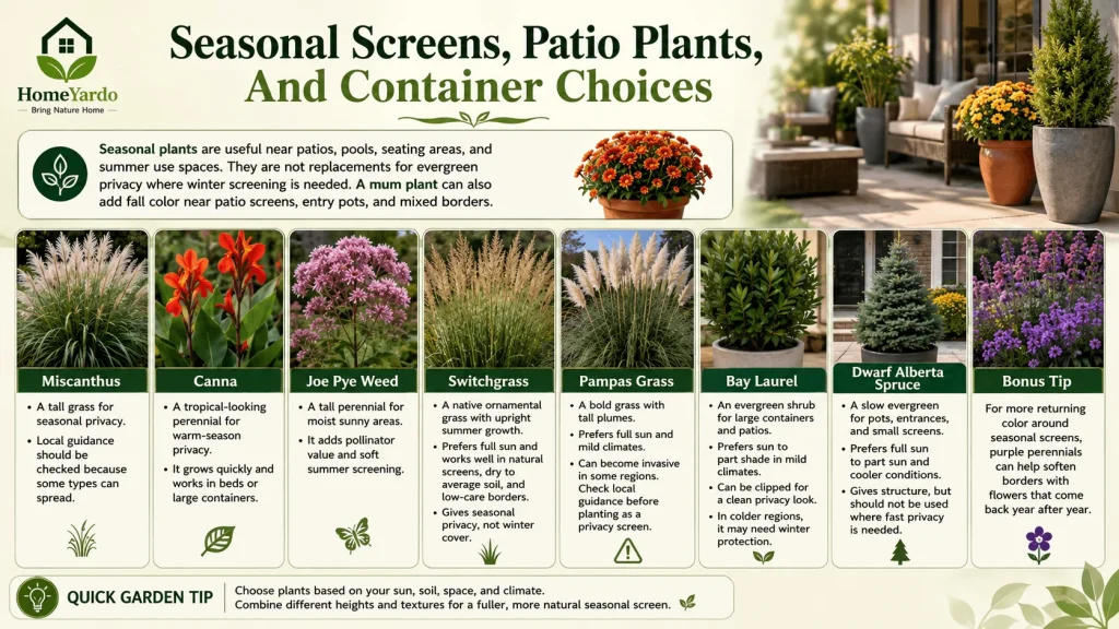 Seasonal Screens, Patio Plants, And Container Choices