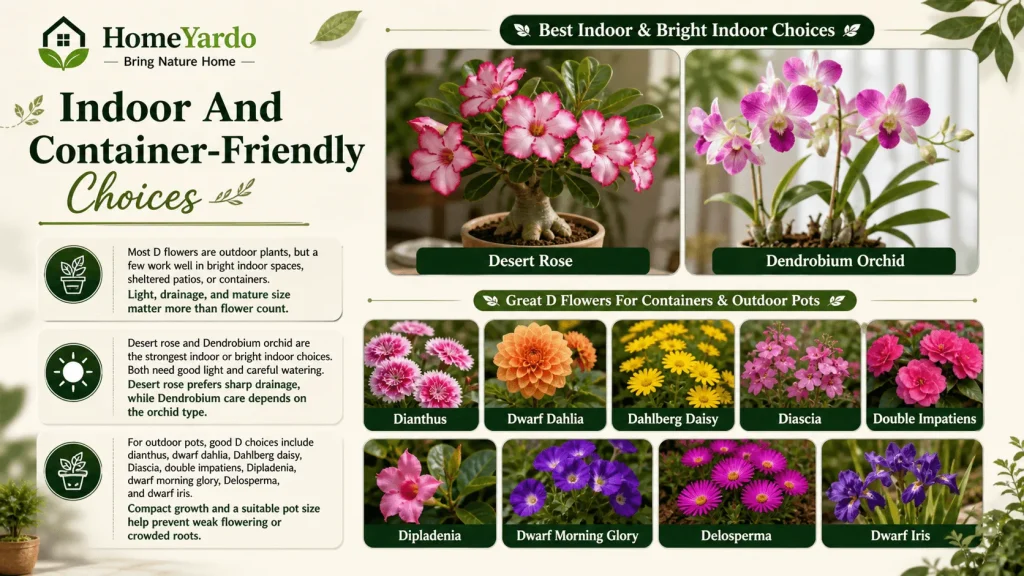 Indoor and container friendly