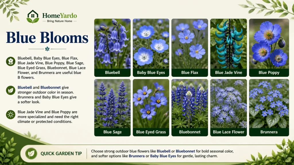Blue blooms