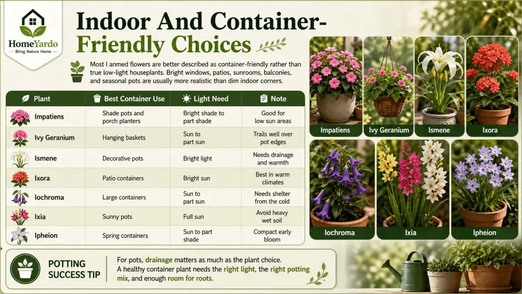 Indoor and container frienldy choices