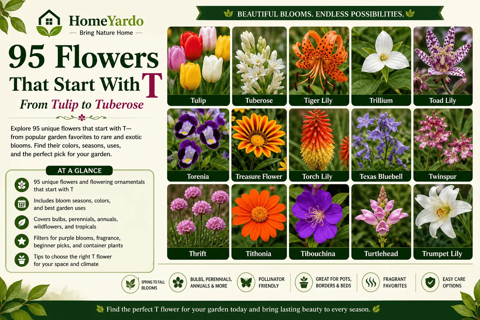 95 Flowers that start with T