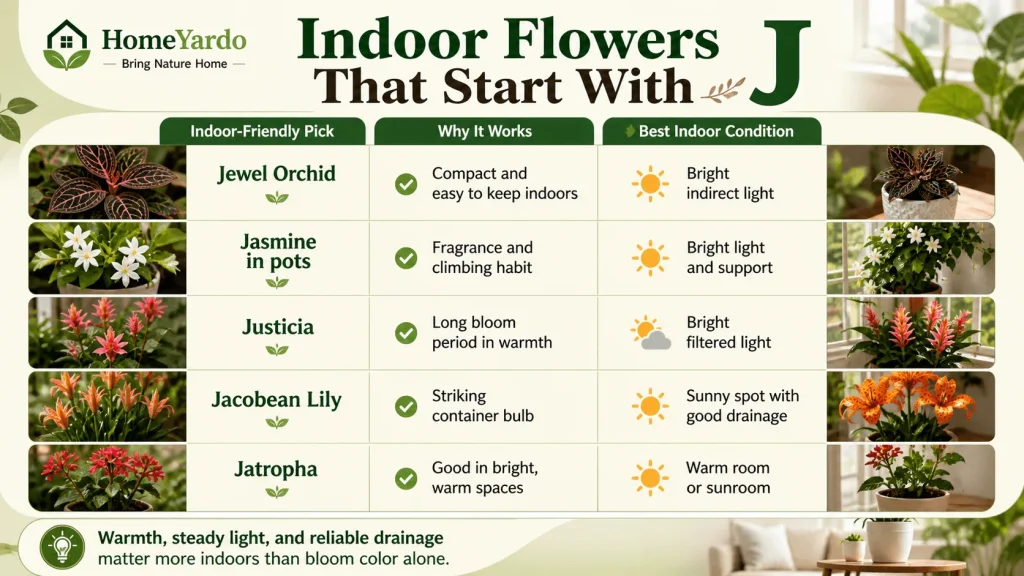 Indoor Flower that start with j