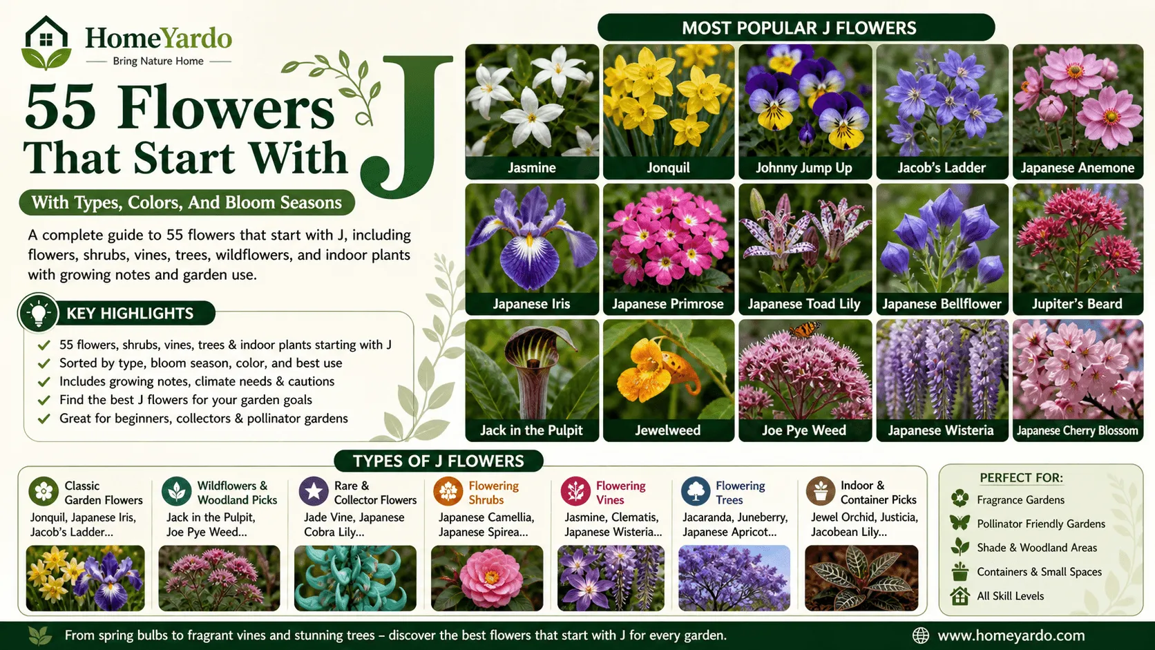55 Flowers that start with j