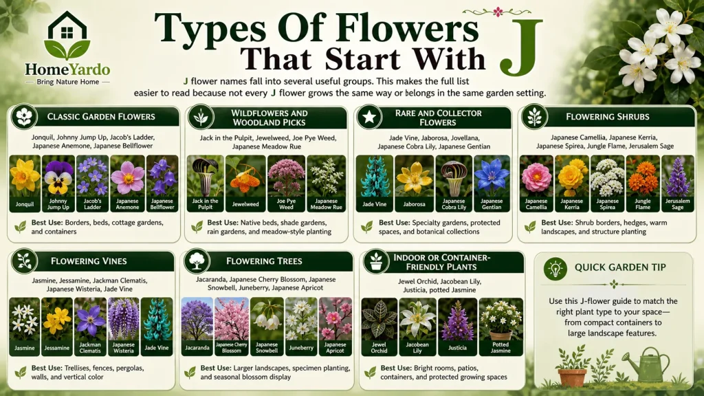 Types of Flower that start with j
