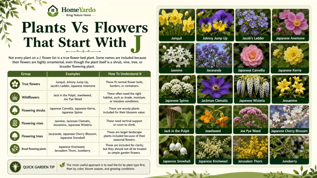 Plants vs Flowers that start with j