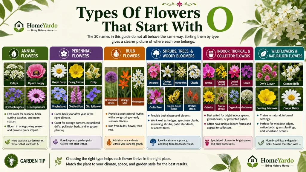 Types of flower that start with O