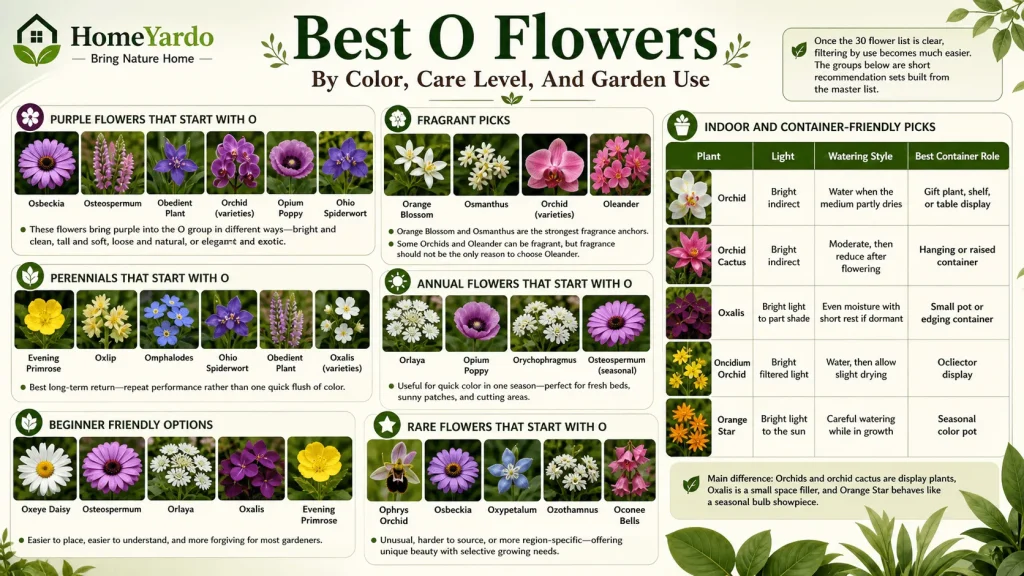 Best O flowers