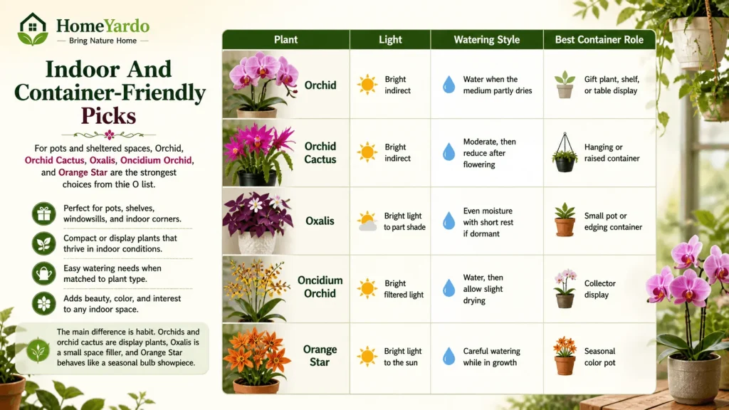 Indoor and container frienldy picks