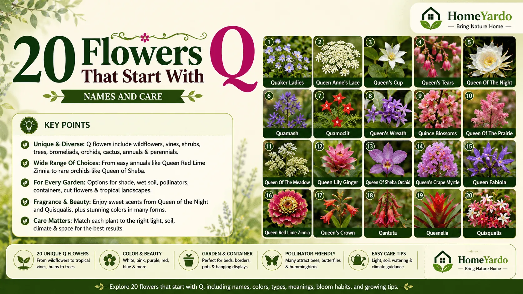 Flowers That Start With Q