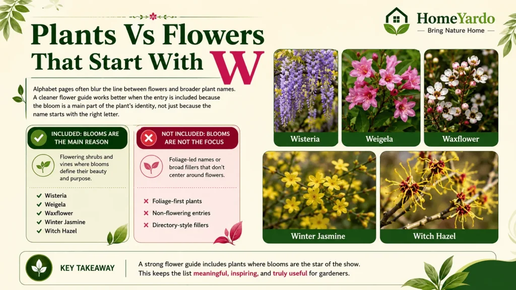 Plants vs flowers that start with W