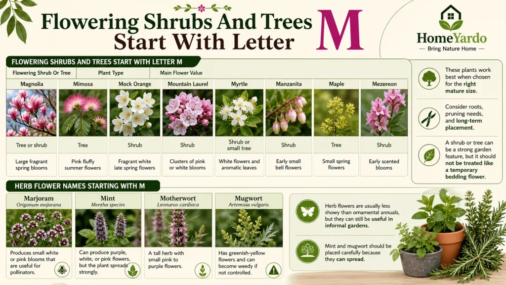 Flowring shrubs and tress that satrt with letter M