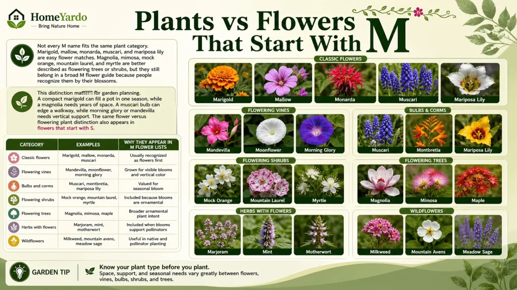 Plants vs flowers that satrt with M