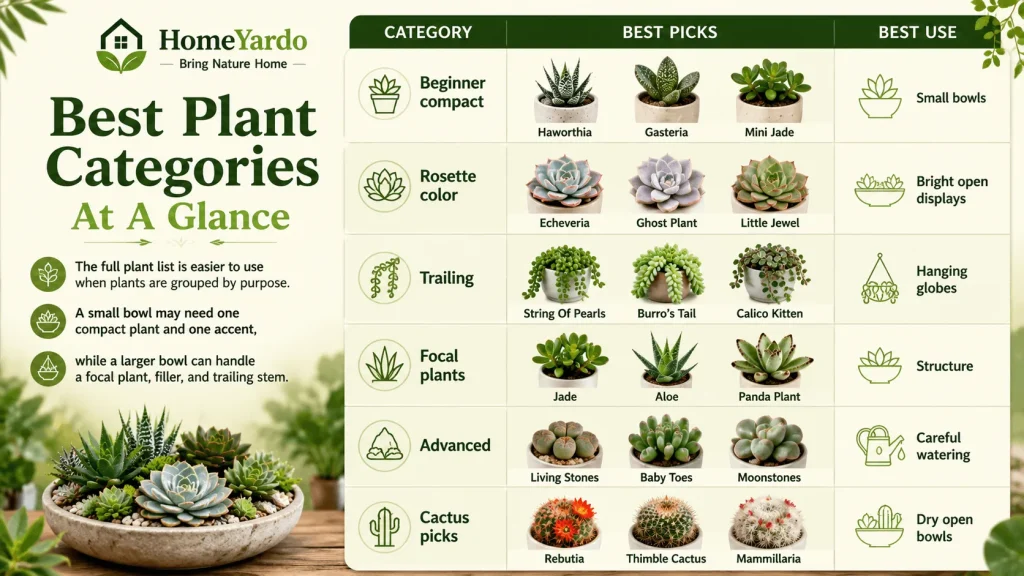 Best plant categories