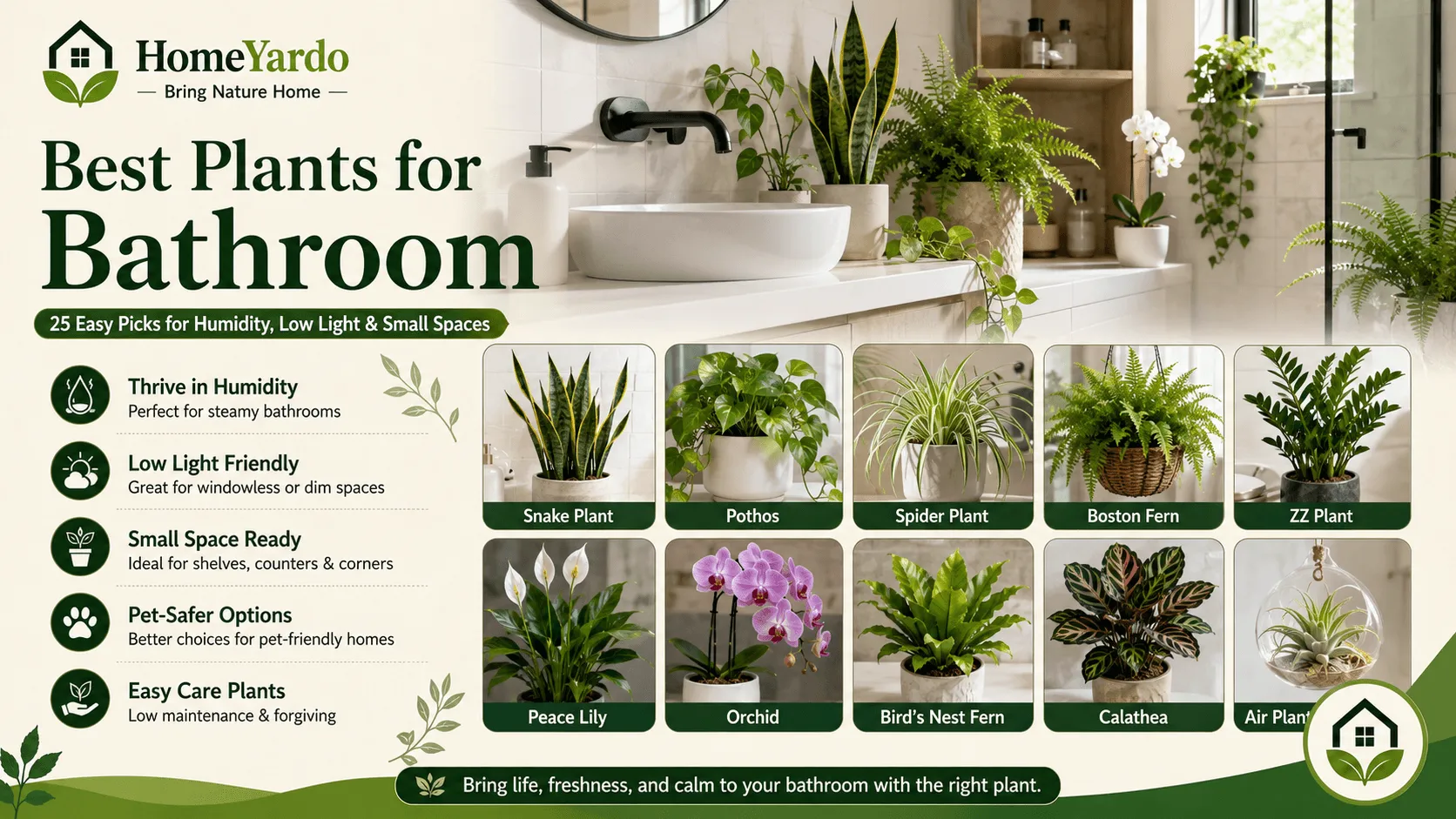 Best Plants For Bathroom: 25 Easy Picks